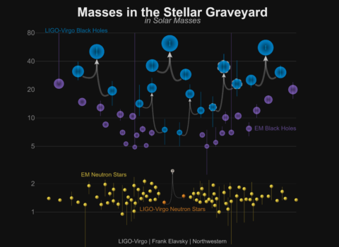 Masses in the Stellar Graveyard