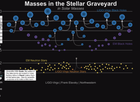 Masses in the Stellar Graveyard