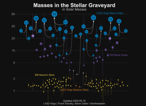 Masses in the Stellar Graveyard