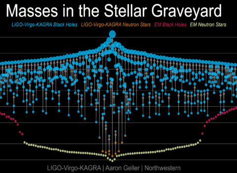 Masses in the Stellar Graveyard